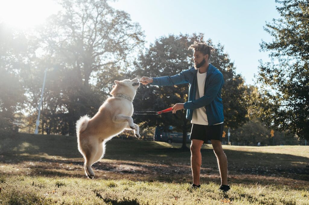 10 Dog Training Mistakes to Avoid