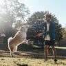 10 Dog Training Mistakes to Avoid